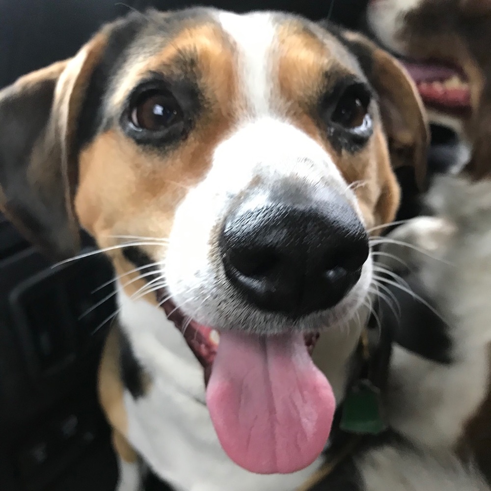 Meet your Posher, Lili